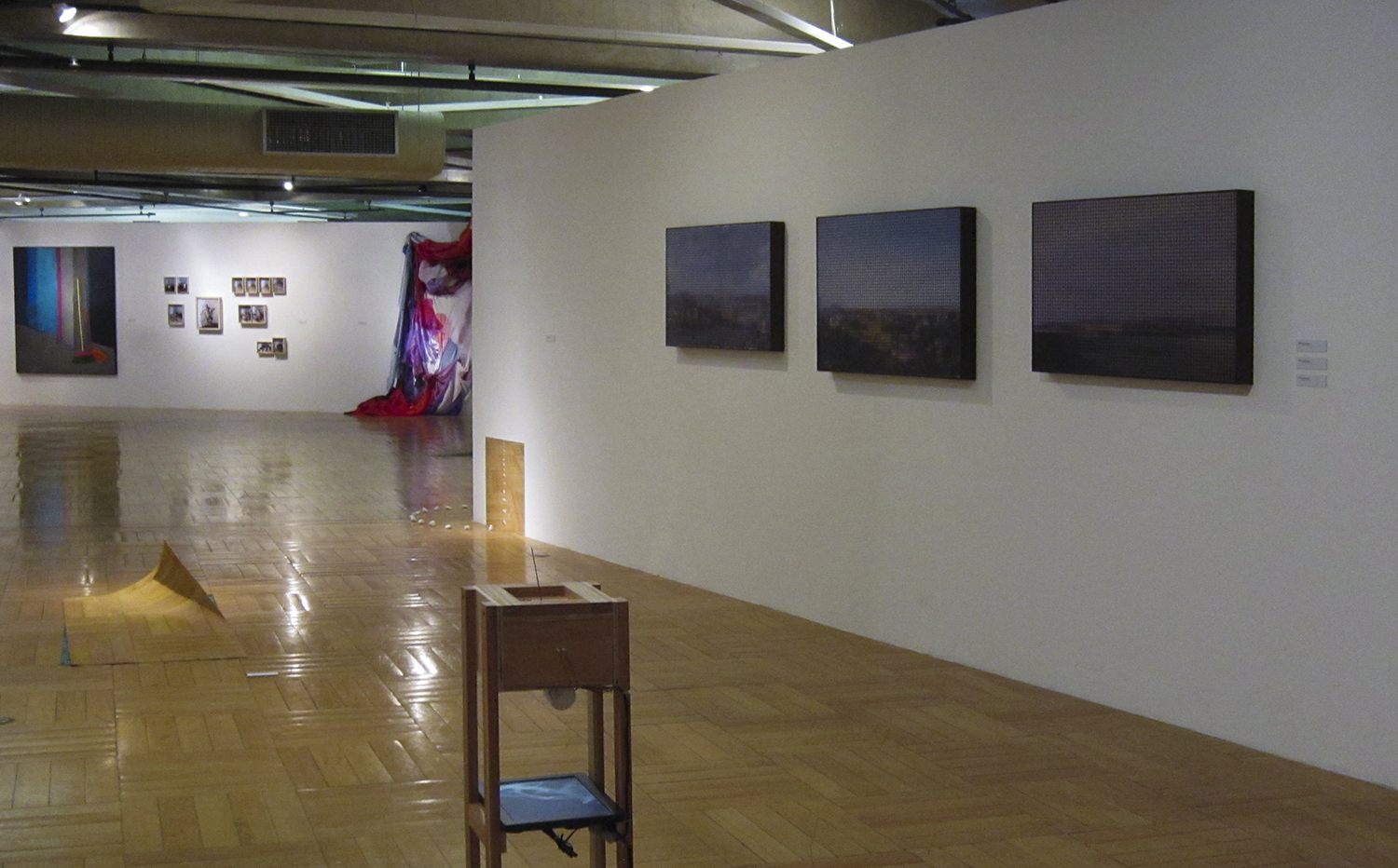 Ateliê Fidalga at Paço das Artes group show in São Paulo, July 2010. Organized by Albano Afonso and Sandra Cinto.