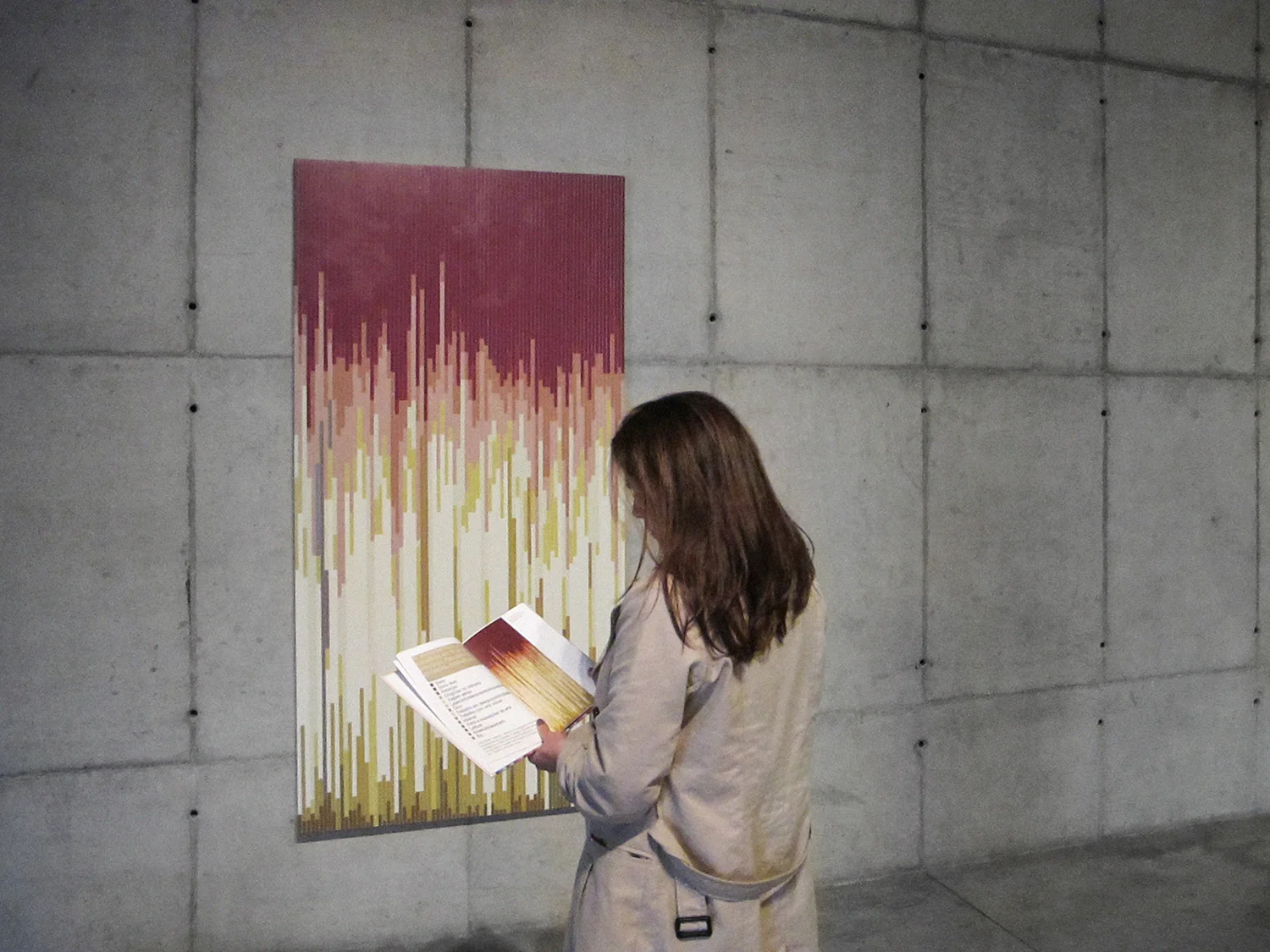 Statistical Self Portraits , solo show at Galeria Leme. October 2012.