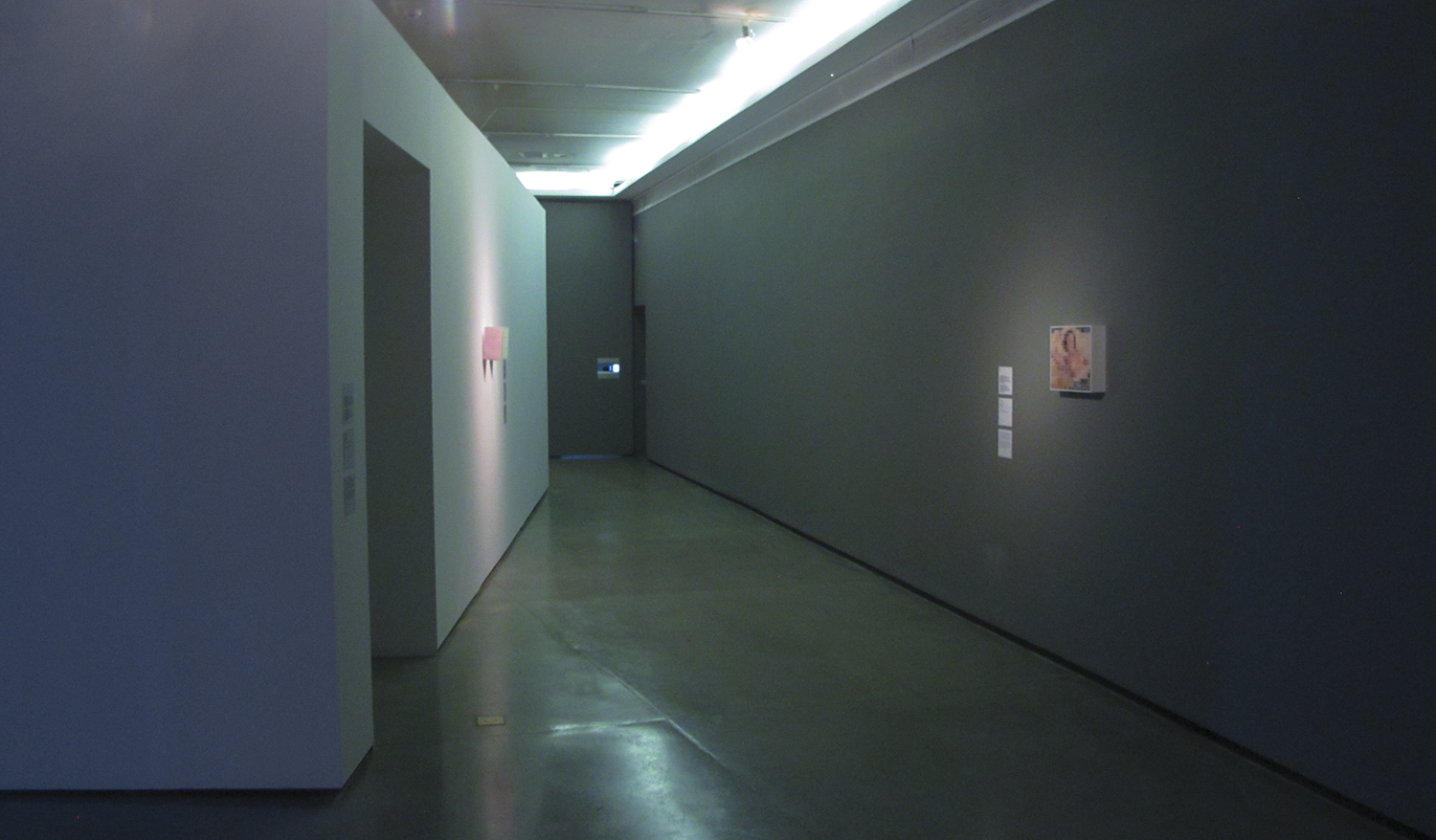 Crossed Circuits, Centre Pompidou Meets MAM group show at São Paulo Museum of Modern Art - MAM, January 2013. Curatorship Christine Van Assche and Paula Alzugaray.