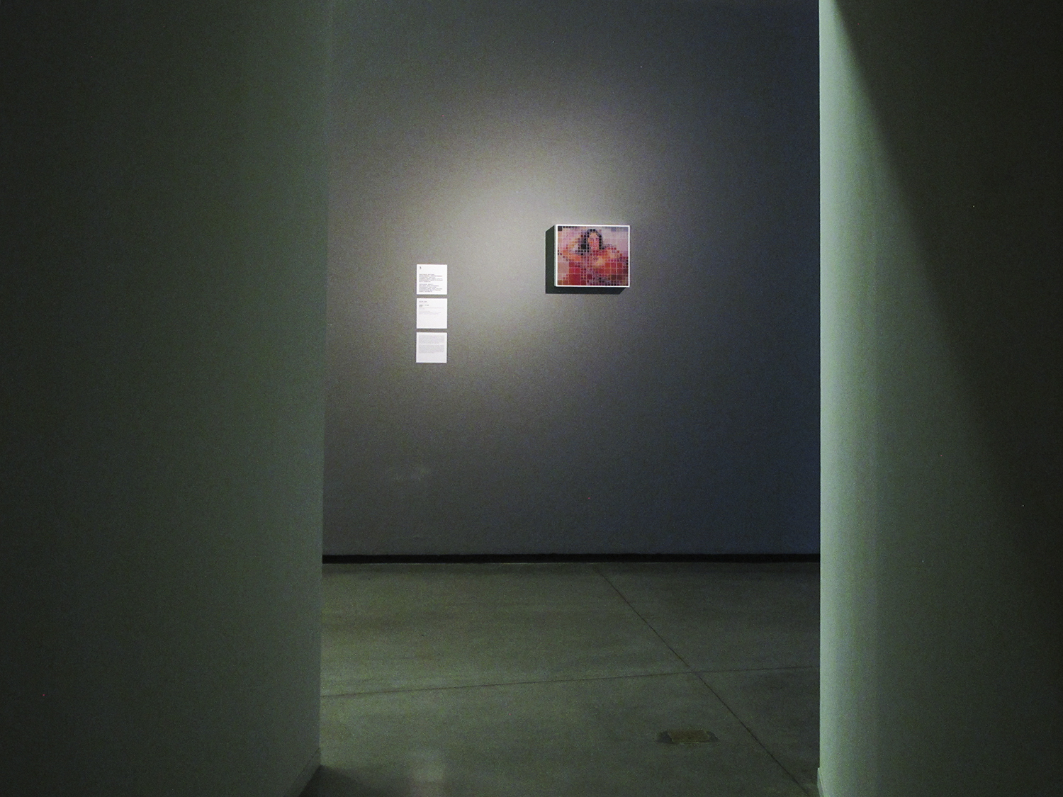 Crossed Circuits, Centre Pompidou Meets MAM group show at São Paulo Museum of Modern Art - MAM, January 2013. Curatorship Christine Van Assche and Paula Alzugaray.