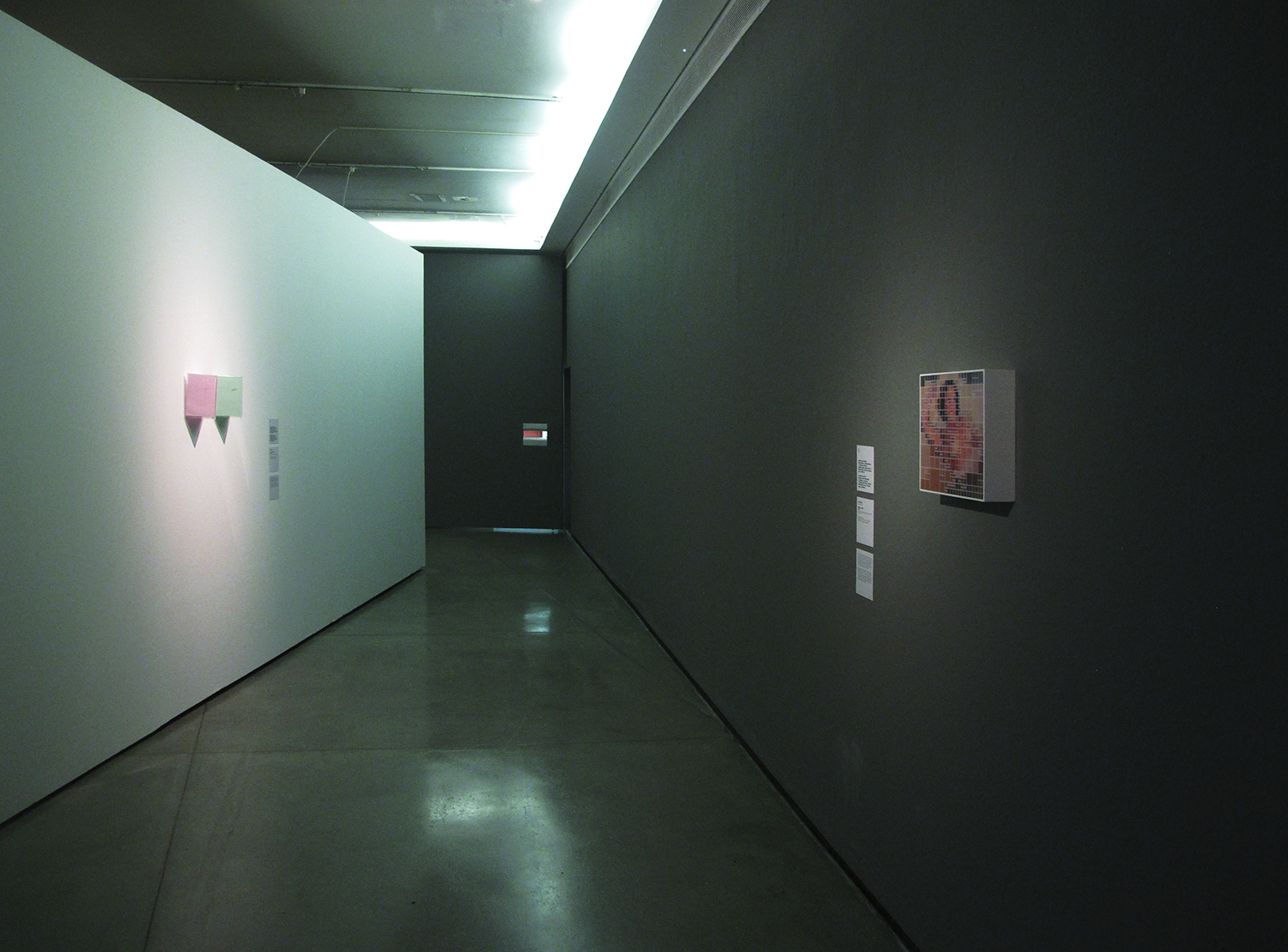 Crossed Circuits, Centre Pompidou Meets MAM group show at São Paulo Museum of Modern Art - MAM, January 2013. Curatorship Christine Van Assche and Paula Alzugaray.