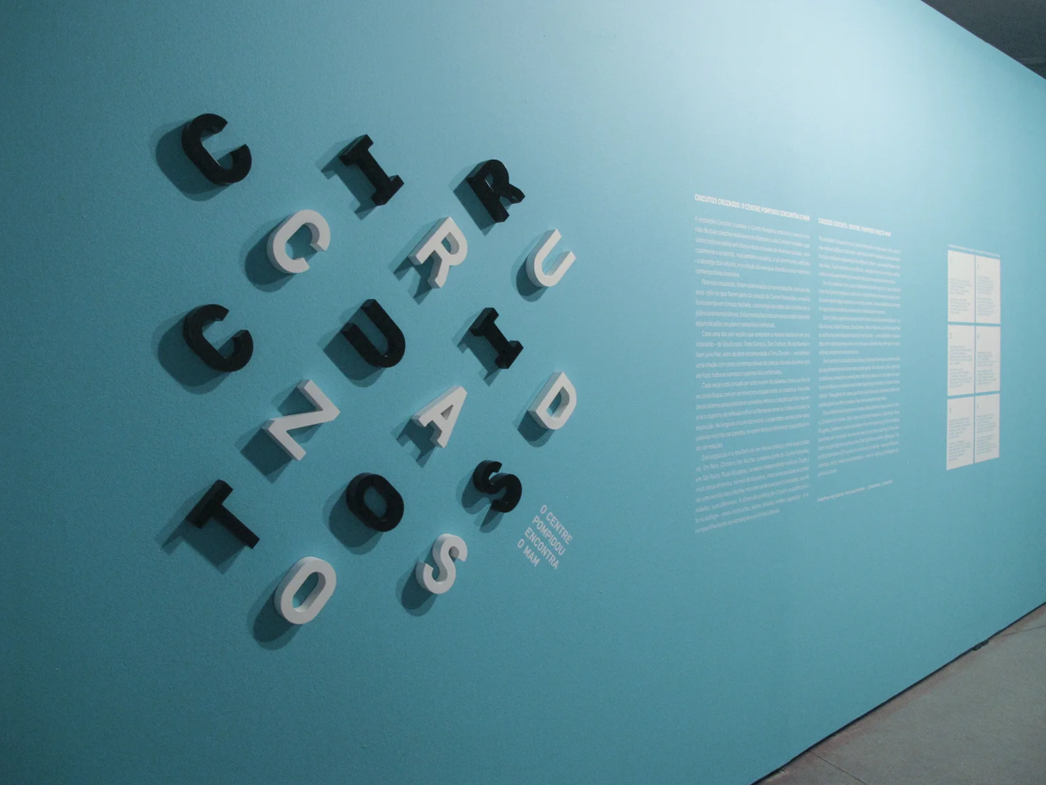 Crossed Circuits, Centre Pompidou Meets MAM group show at São Paulo Museum of Modern Art - MAM, January 2013. Curatorship Christine Van Assche and Paula Alzugaray.