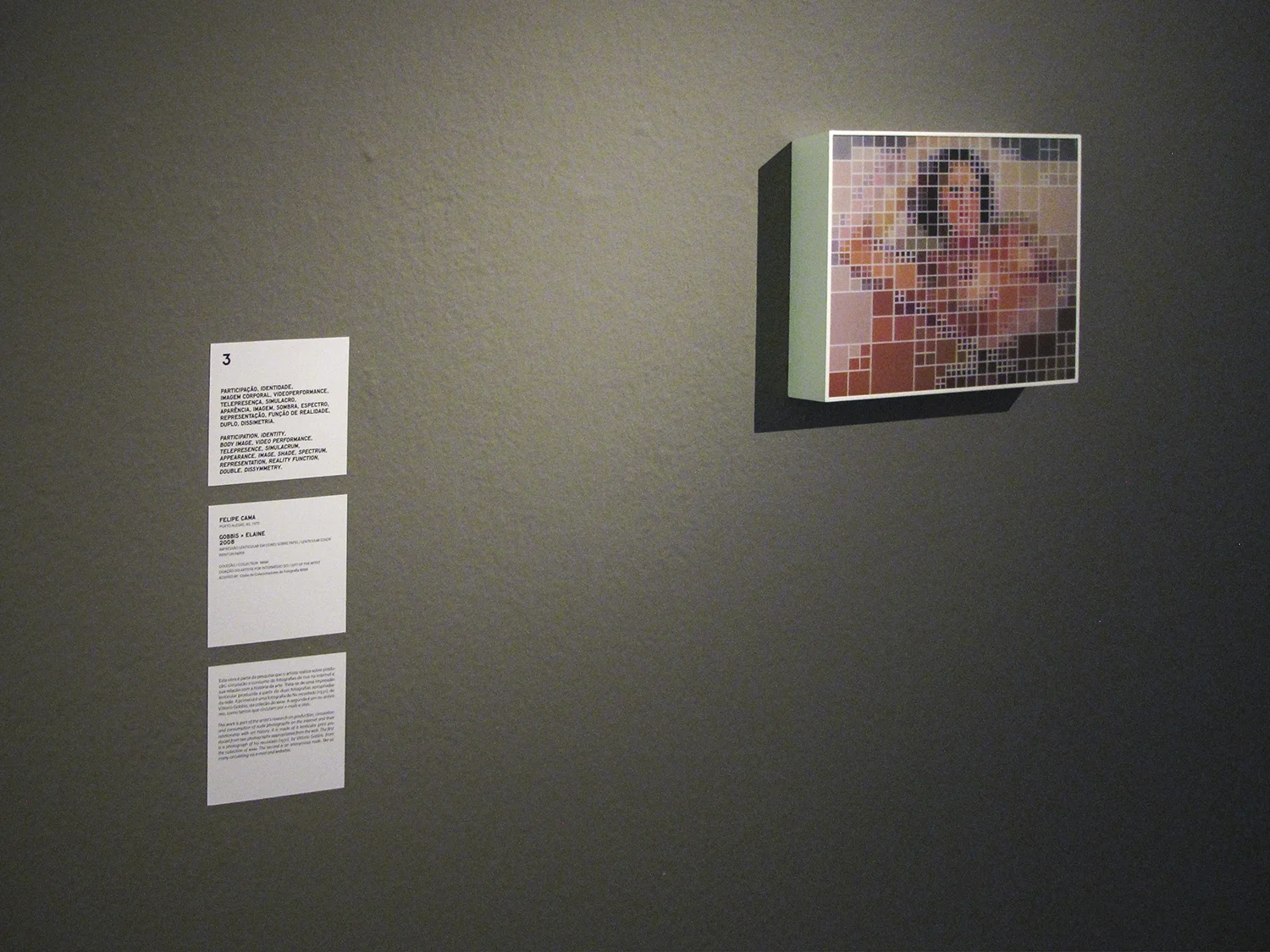 Crossed Circuits, Centre Pompidou Meets MAM group show at São Paulo Museum of Modern Art - MAM, January 2013. Curatorship Christine Van Assche and Paula Alzugaray.