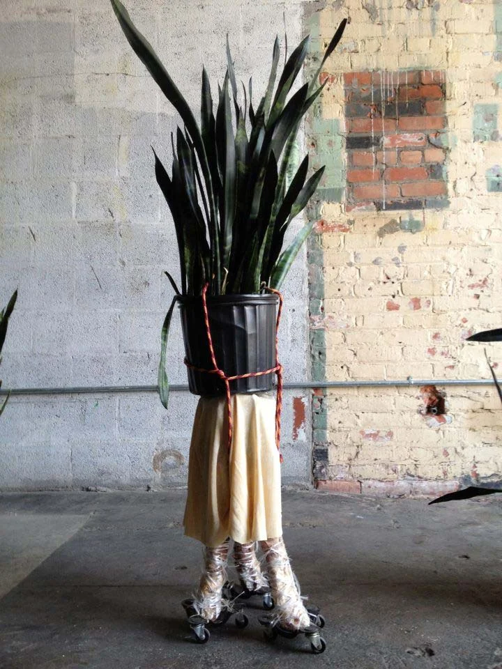 mocad_planter.jpg