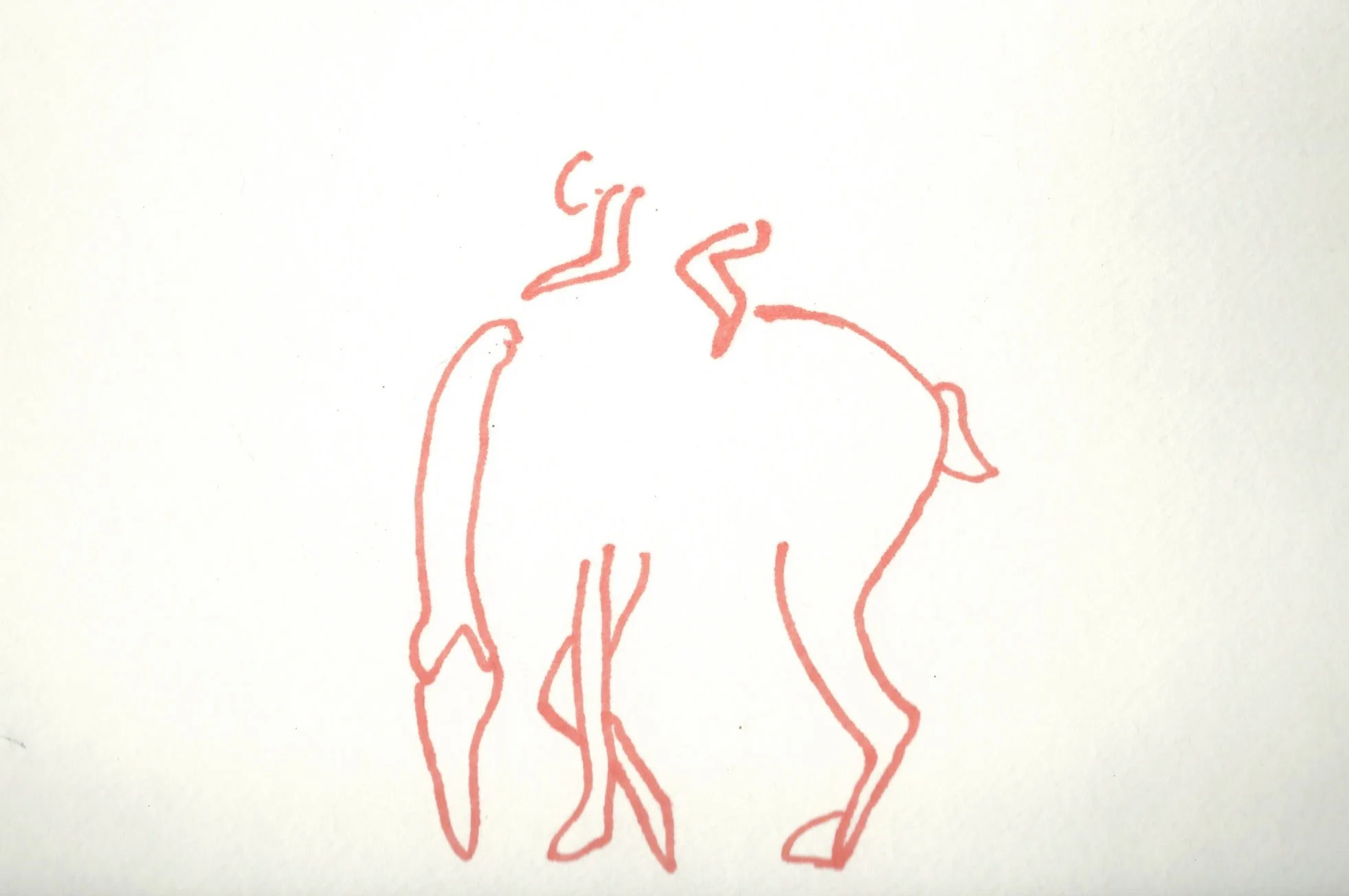 monkey and horse.jpg