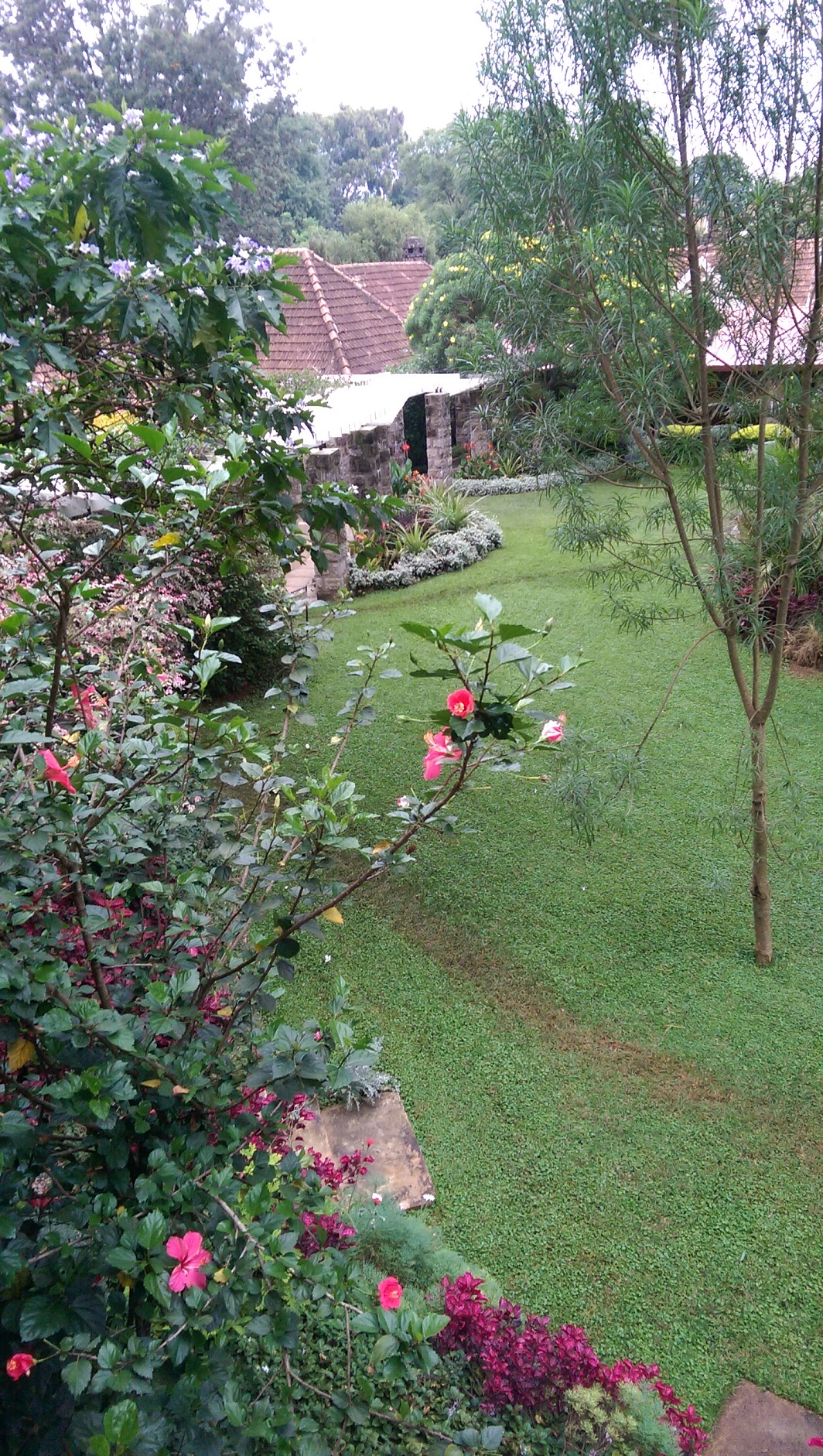 A view of the beautiful garden at Amani Gardens Inn
