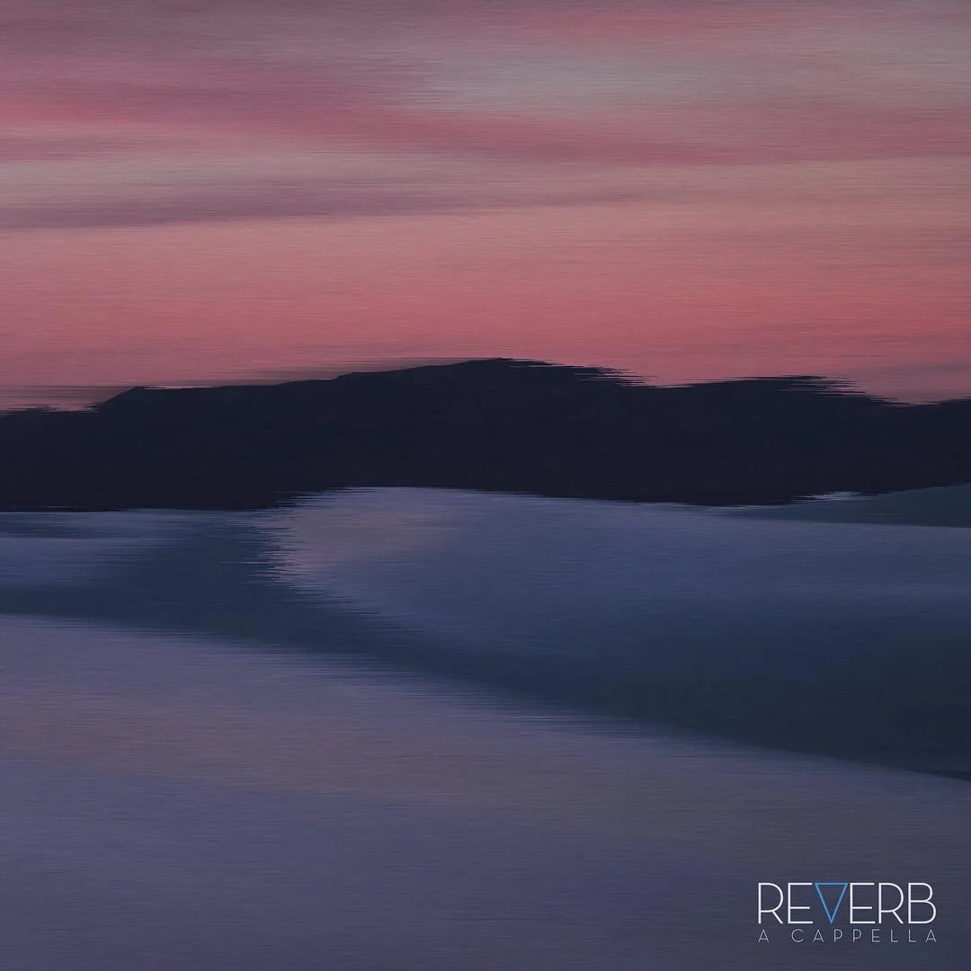 Panorama Cover Art.jpg