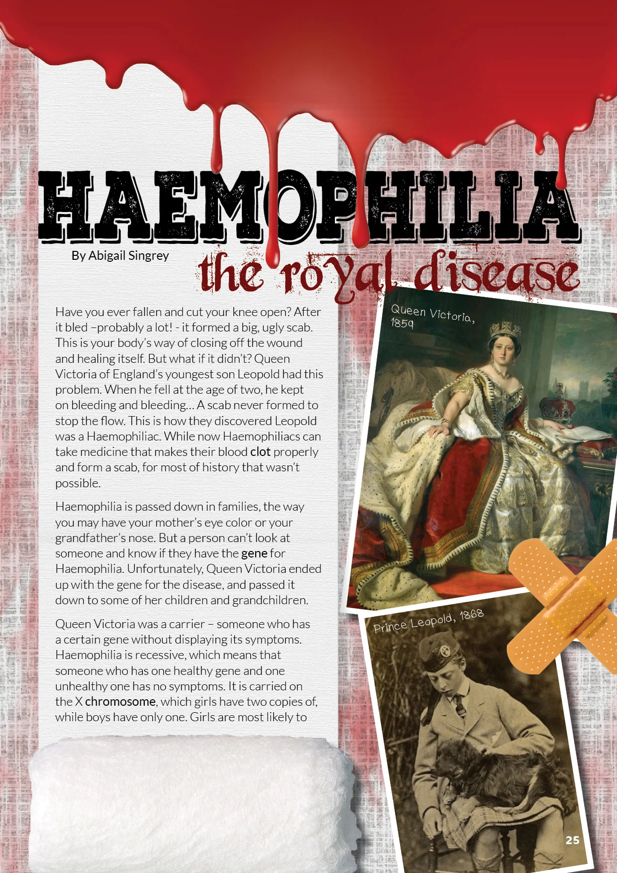 Issue 29_2017_3.jpg