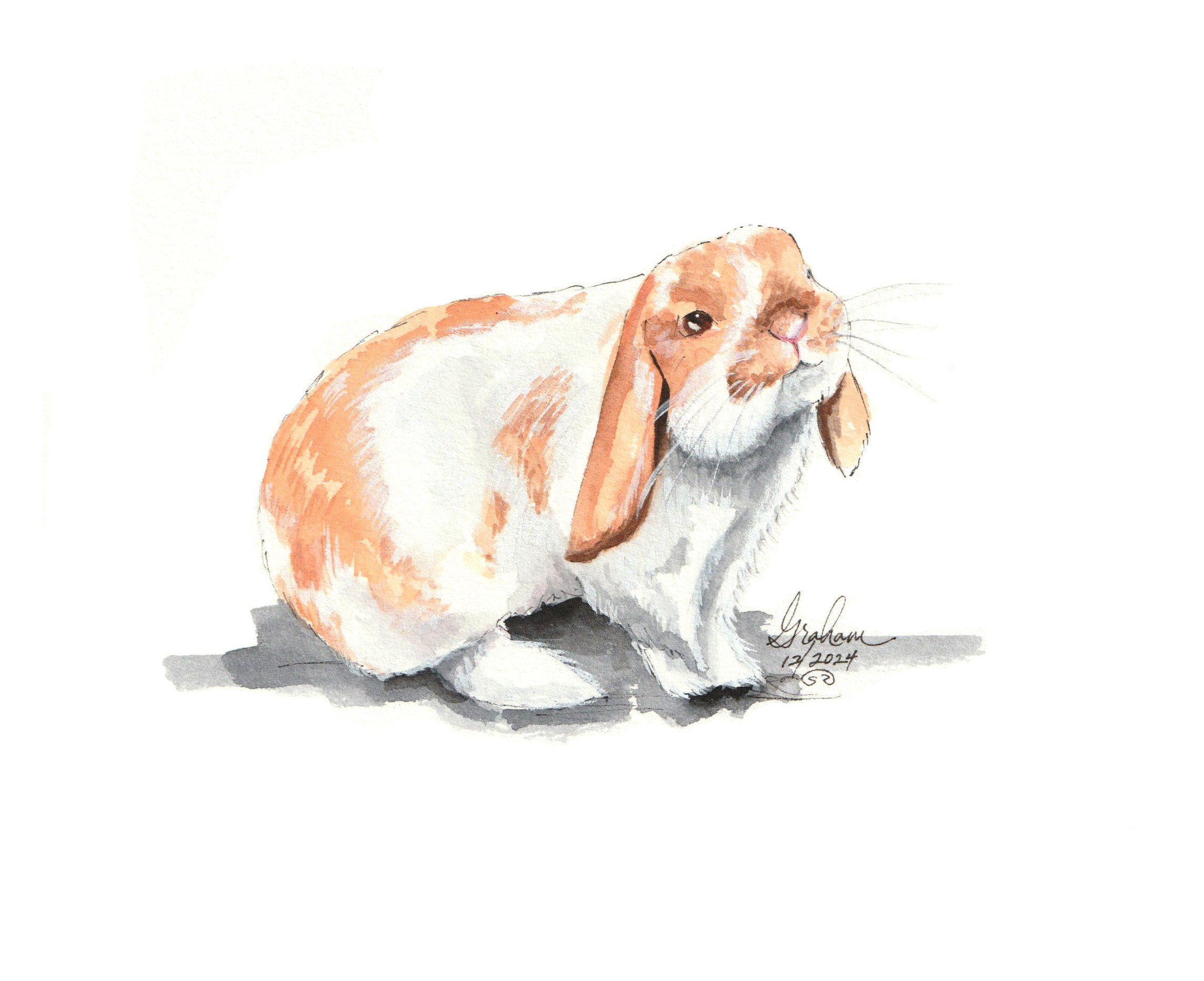 241223_SJS_Pet Pawtraits_Graham Schiller.jpeg