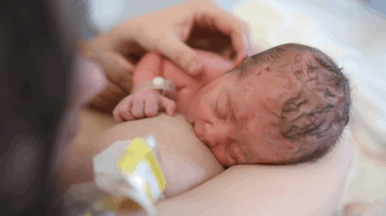 Comparing Images Simple and unobtrusive setups have been designed with efficiency in mind.