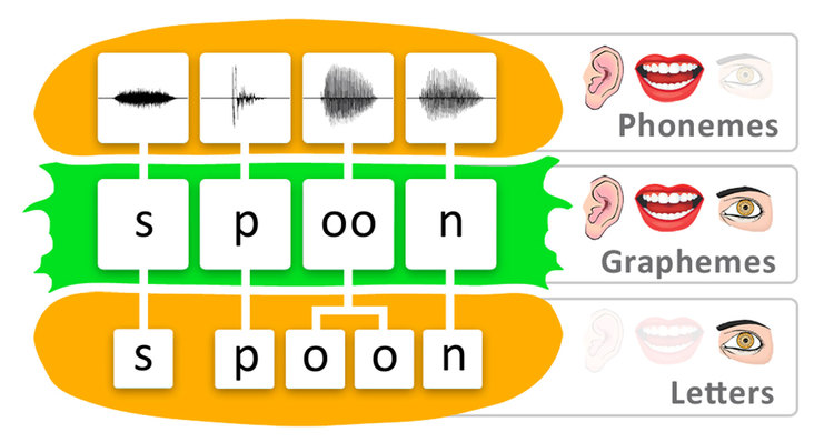 voice marketing - phonemes