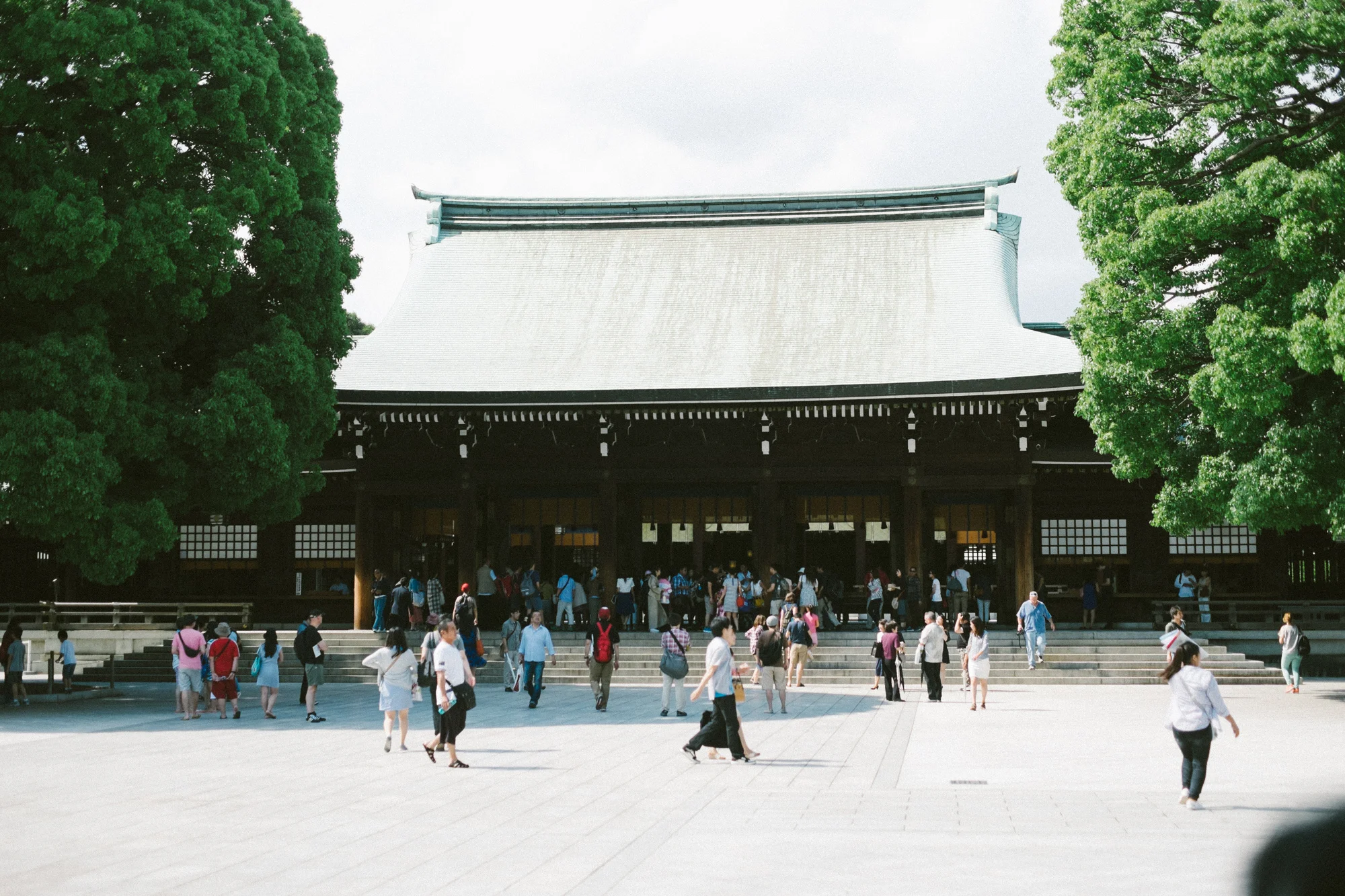 The Meiji Shrine in Harajuku.