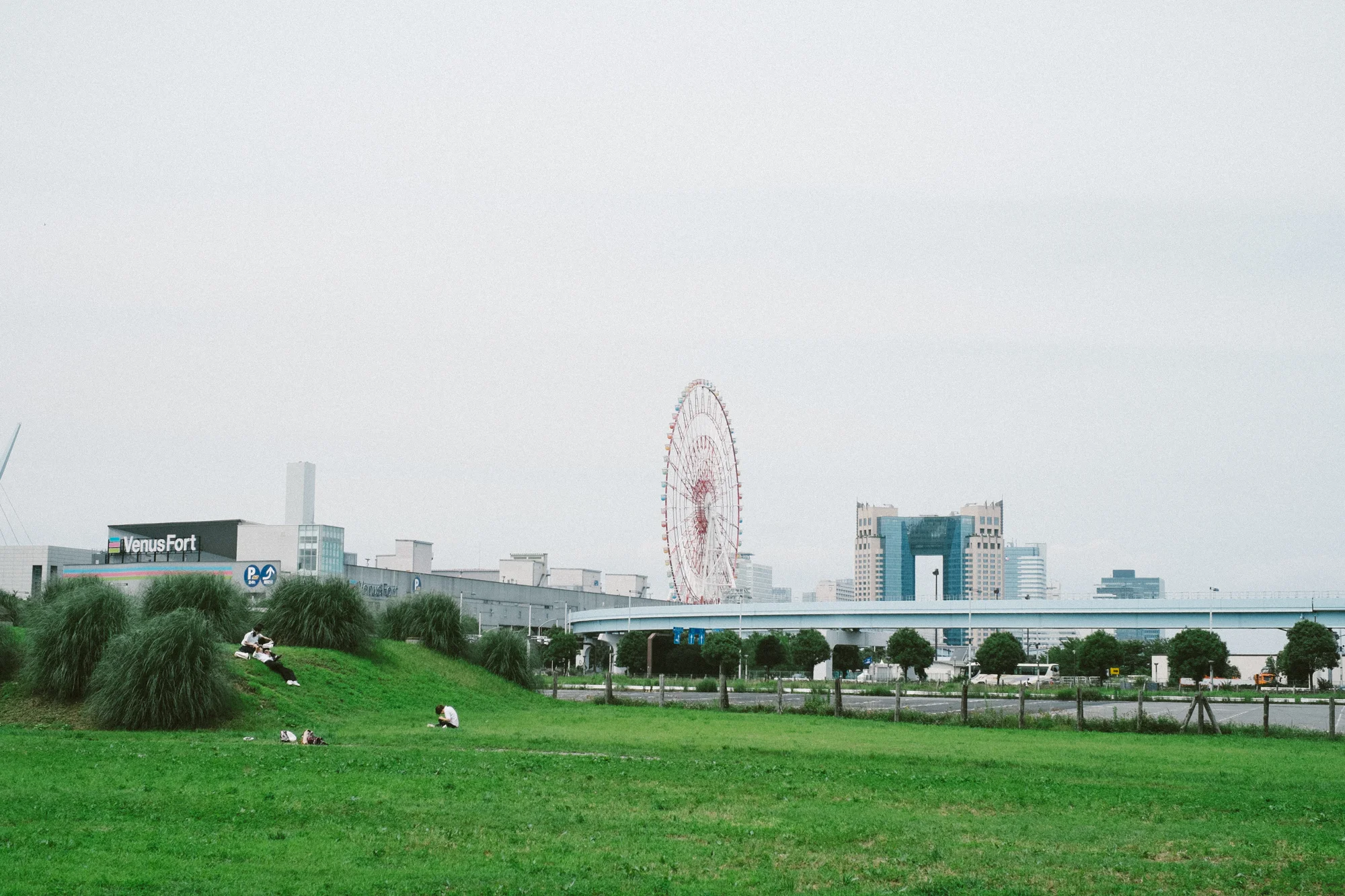If you squint you can see a group of cosplayers relaxing on a hill in Odaiba. Meanwhile, that is a giant ass Ferris wheel.
