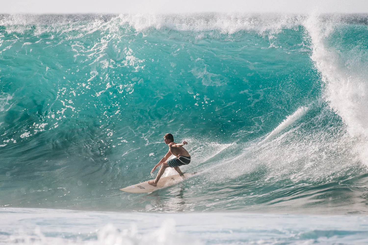 01_2016_Hawaii-307_web.jpg