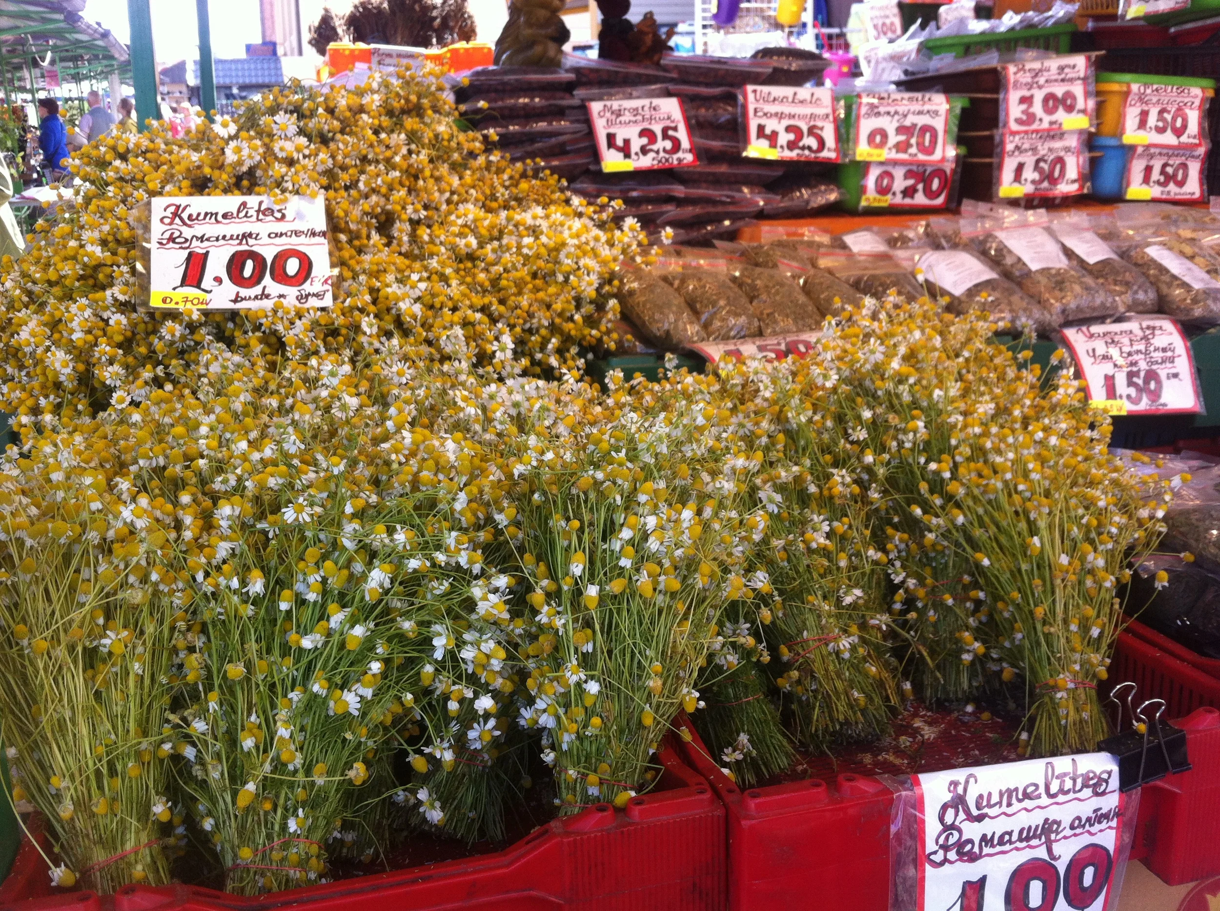 Dried herbs and flowers from making herbal tea