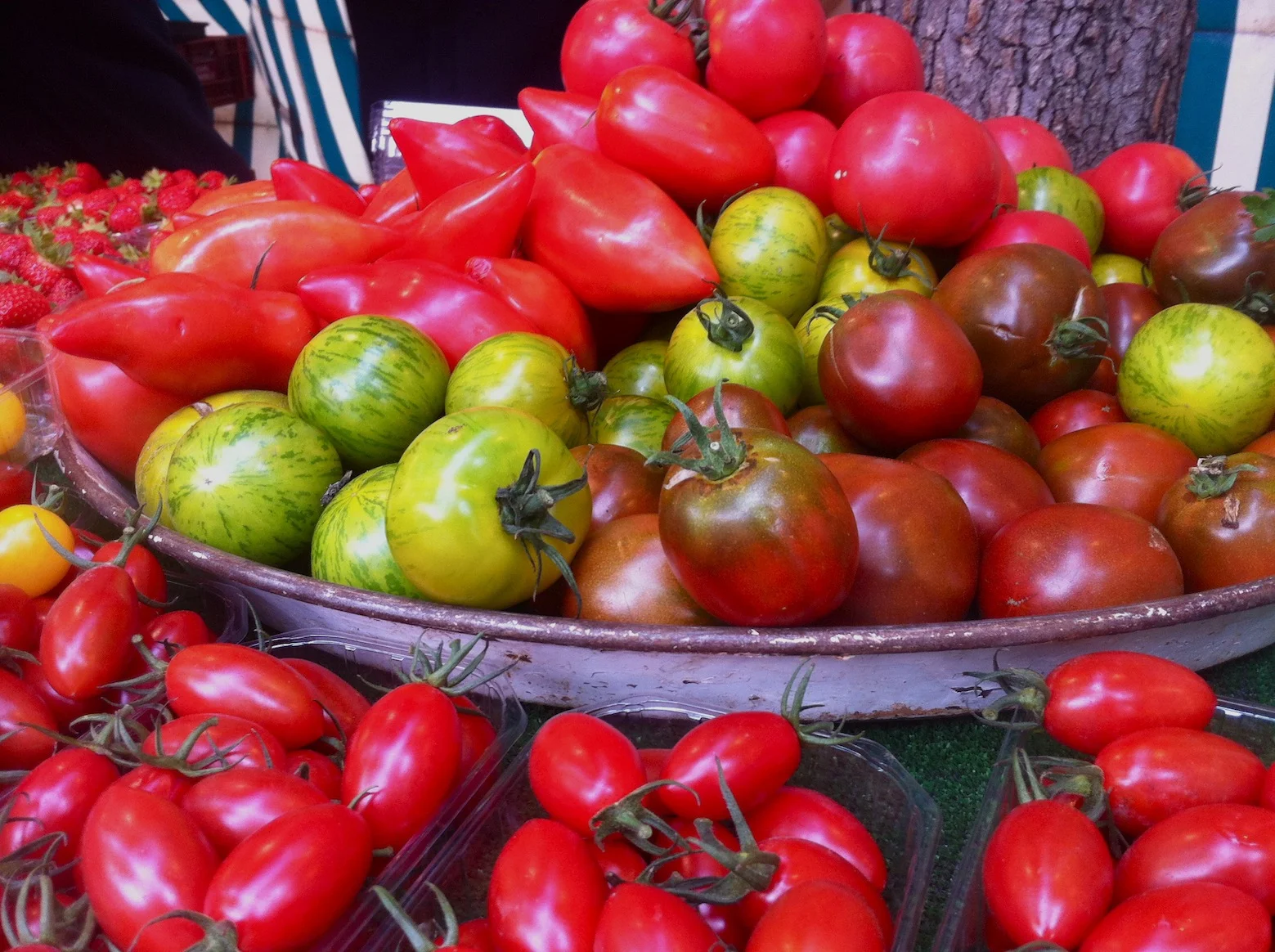 Summer tomatoes at Marché Convention