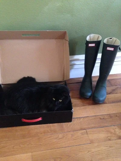 Jack's first encounter with countryside footwear
