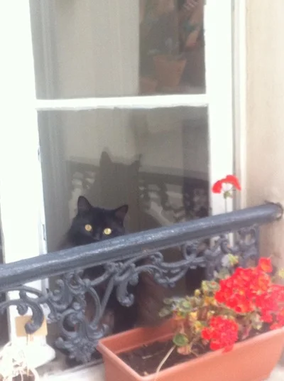 At home in Paris