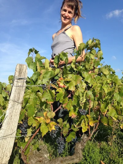 Late harvest days