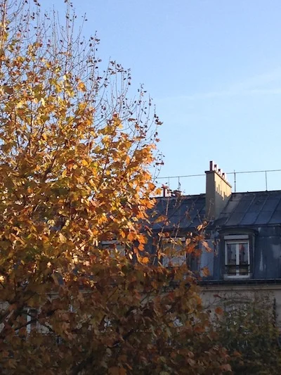 View from my window