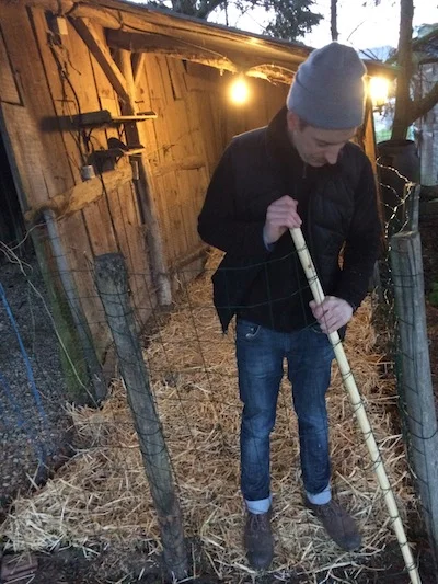 Ben finishes building the fence for the hen house