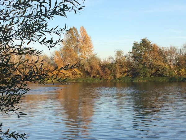 The Cher river