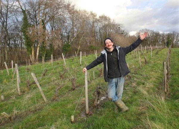 Ben in our plot of Gamay vines