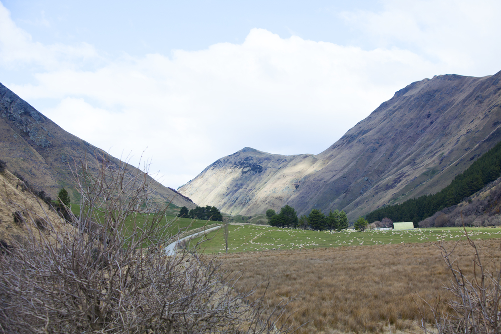 Queenstown_web11.jpg