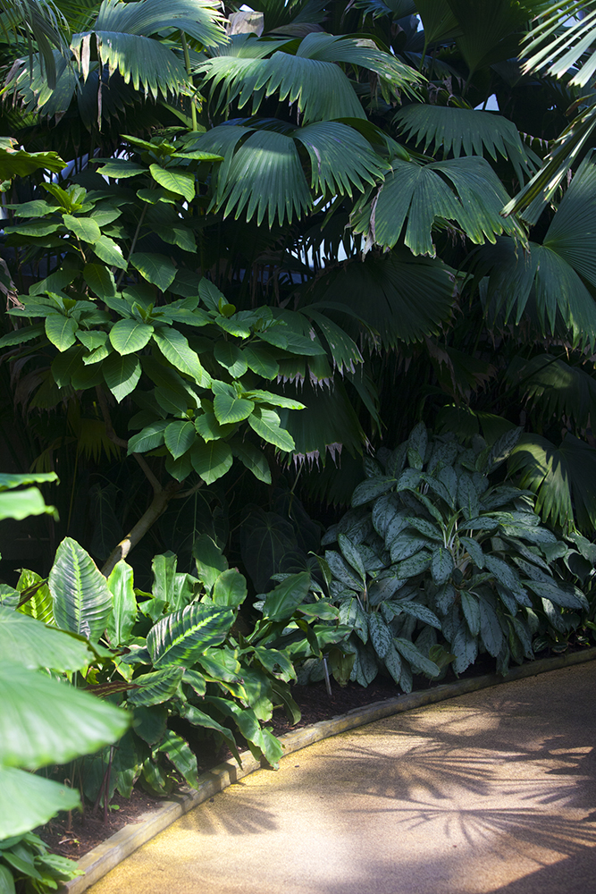 botanicgardens-0490-web.jpg