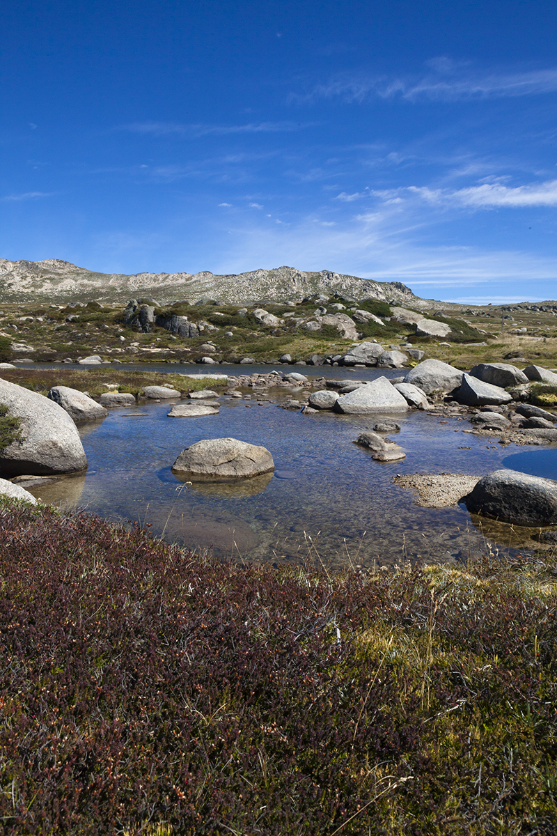 MtKosciuszko -9508LR.jpg