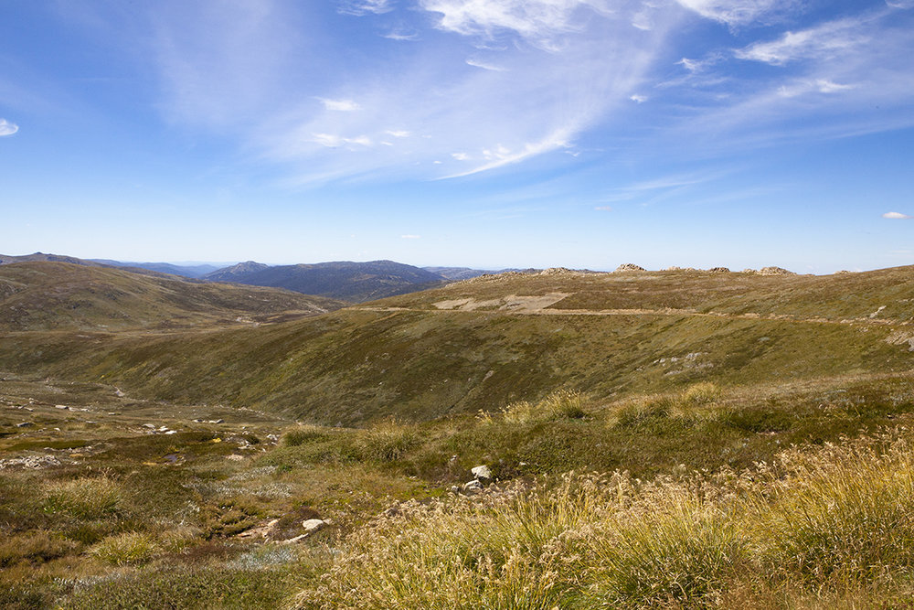 MtKosciuszko -9760LR.jpg