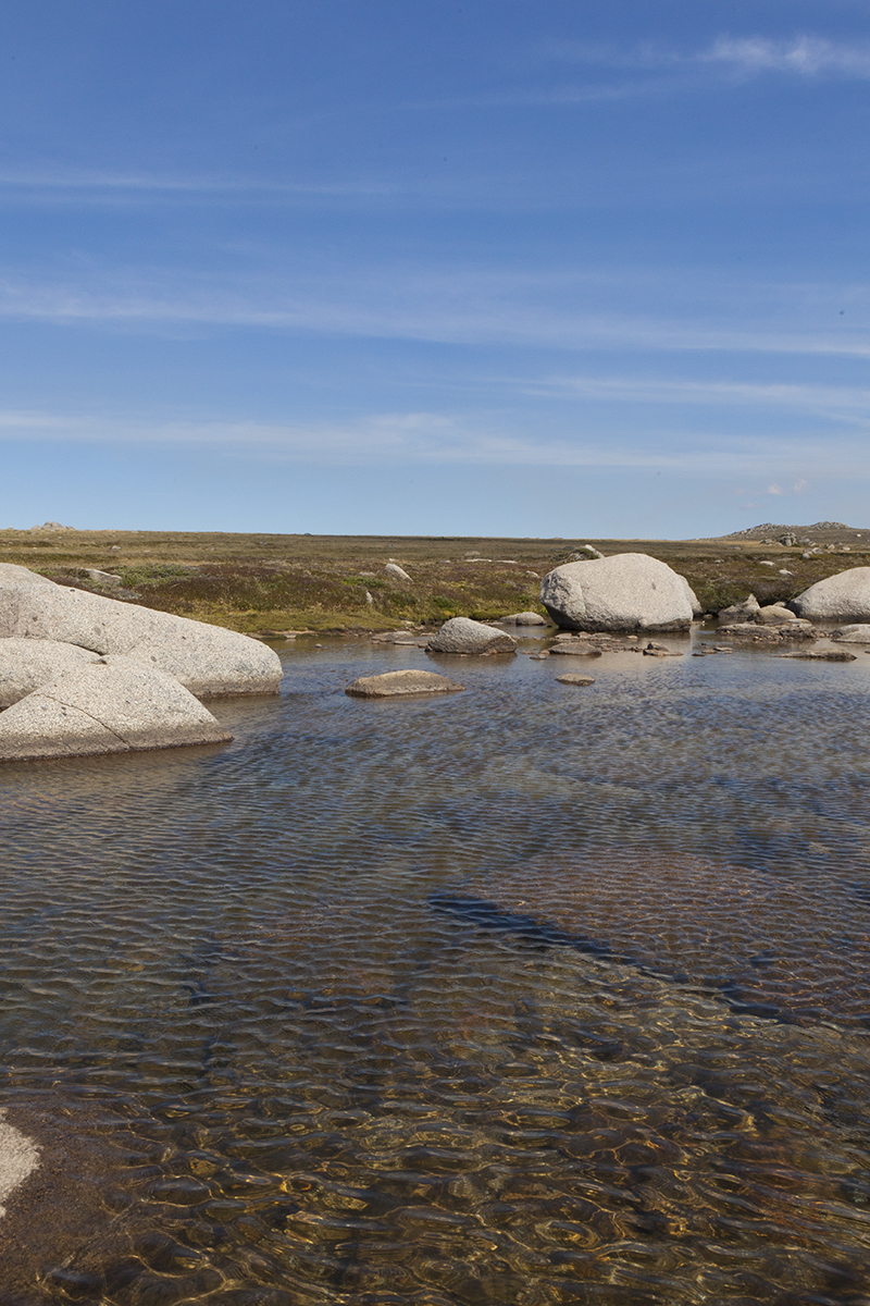 MtKosciuszko -9969.jpg