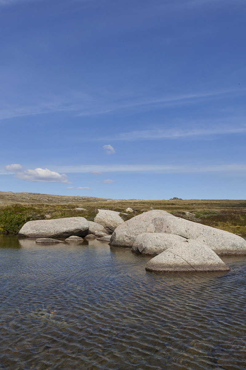 MtKosciuszko -9974.jpg