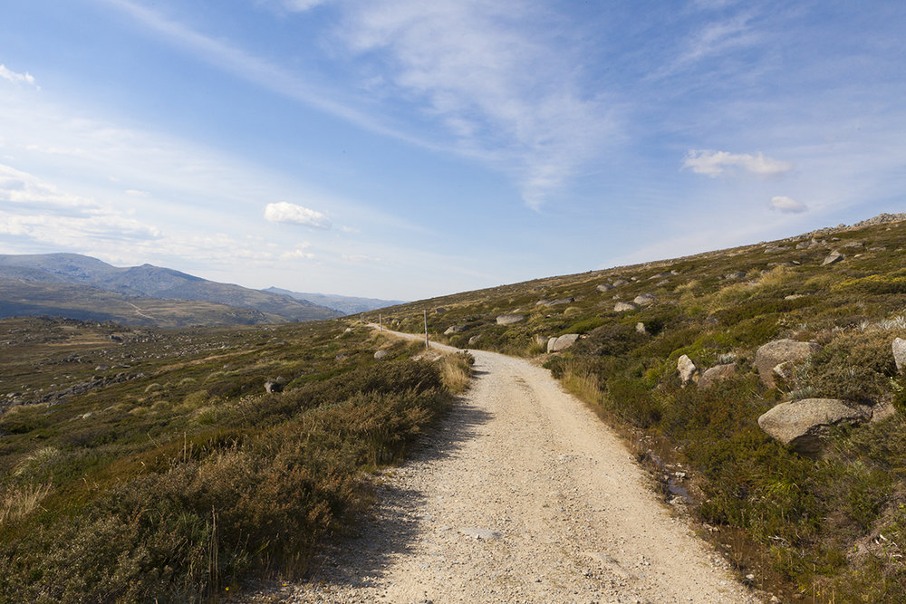 MtKosciuszko -0021.jpg