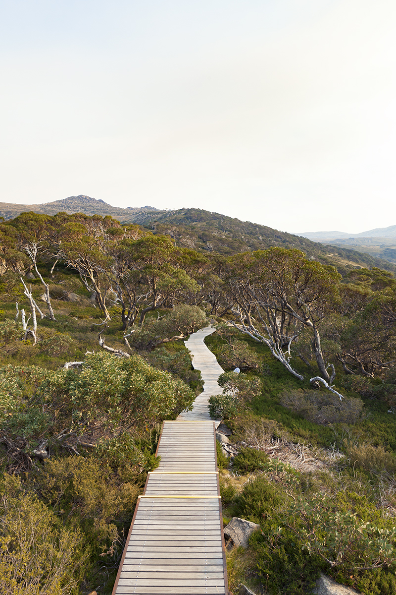 MtKosciuszko-0130.jpg