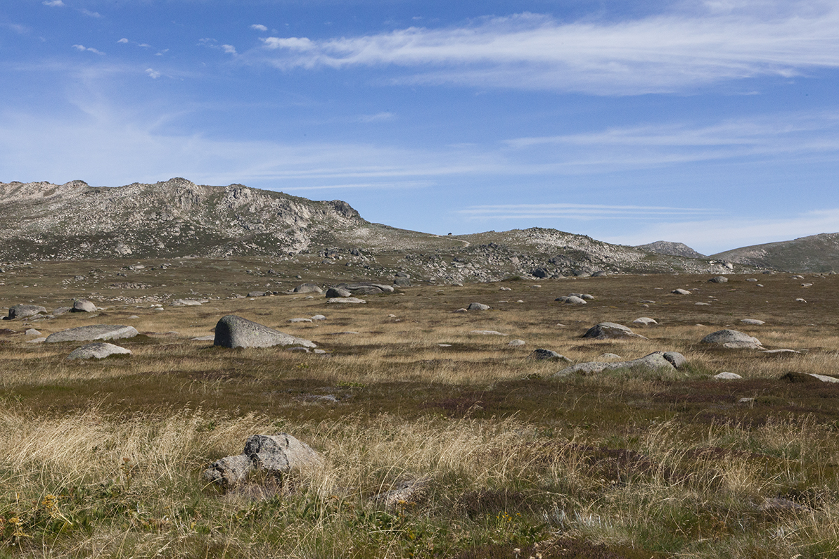 MtKosciuszko -9441.jpg