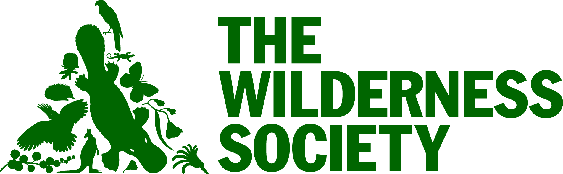 wilderness society.png