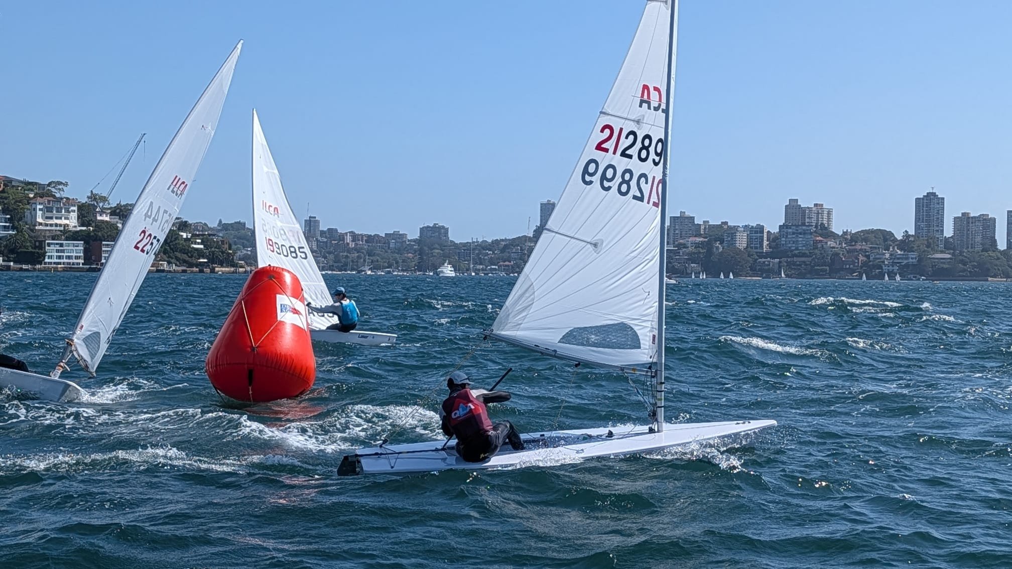 WhatsApp Image 2026-01-31 at 8.10.26 PM (1).jpeg