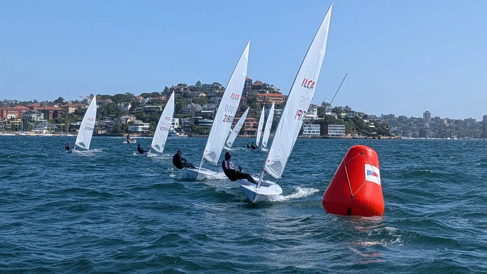 WhatsApp Image 2026-01-31 at 8.09.39 PM.jpeg