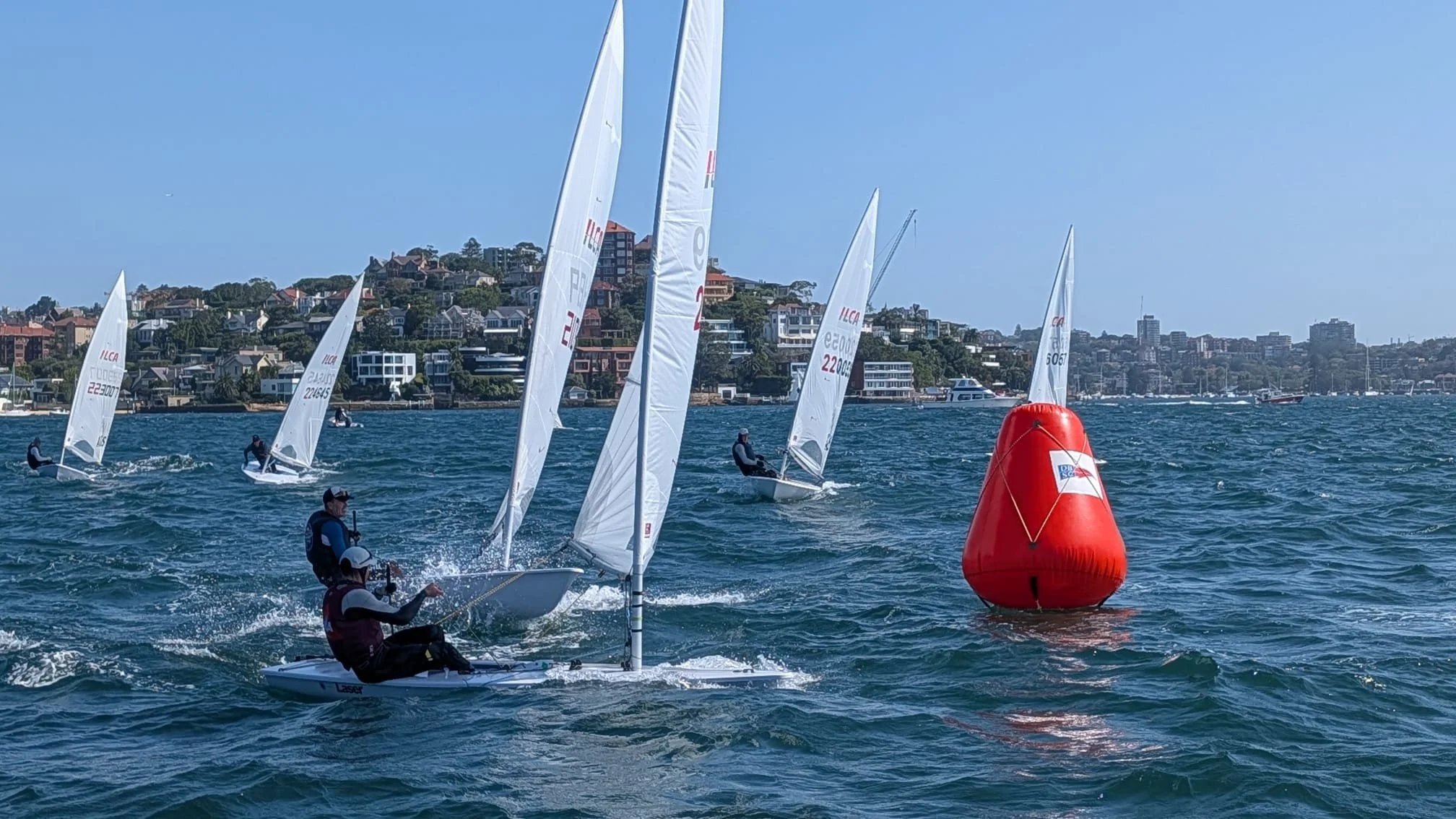 WhatsApp Image 2026-01-31 at 8.09.38 PM.jpeg