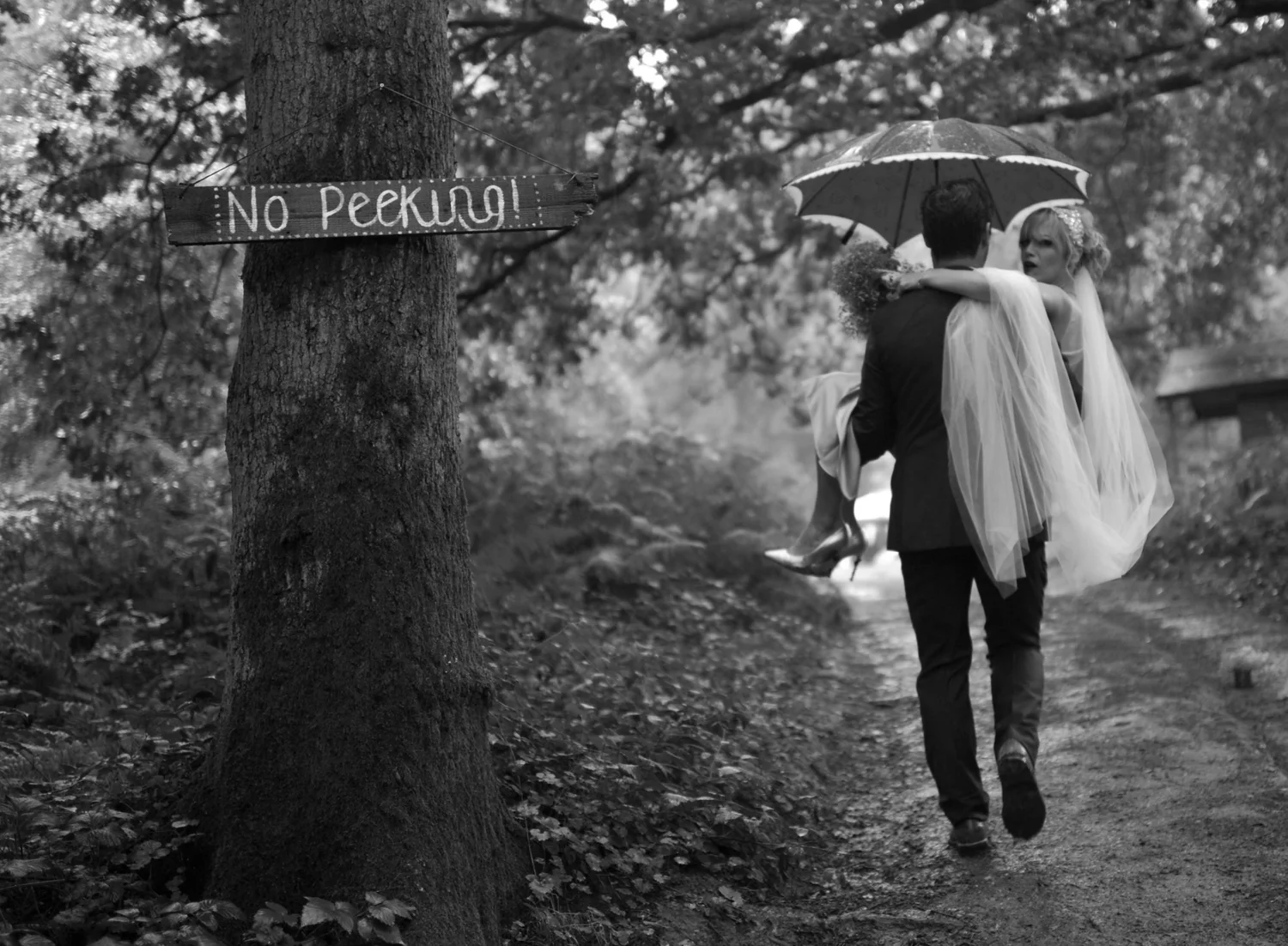   Omid &amp; Laura   Woodland Wedding 