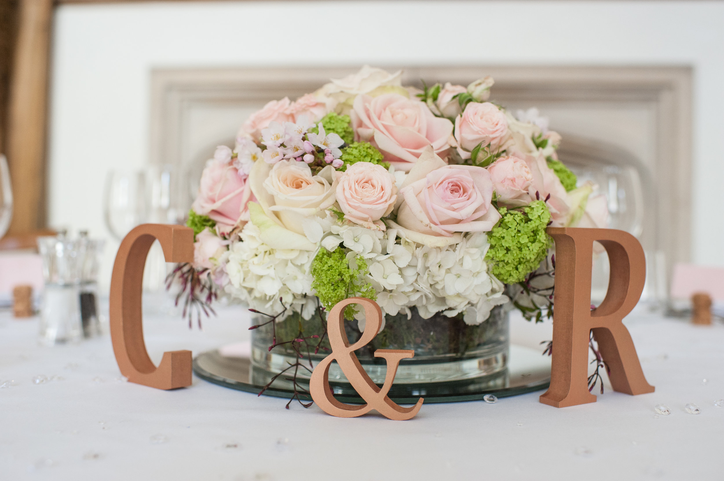 Rachel&Chris_SM (155 of 249).jpg