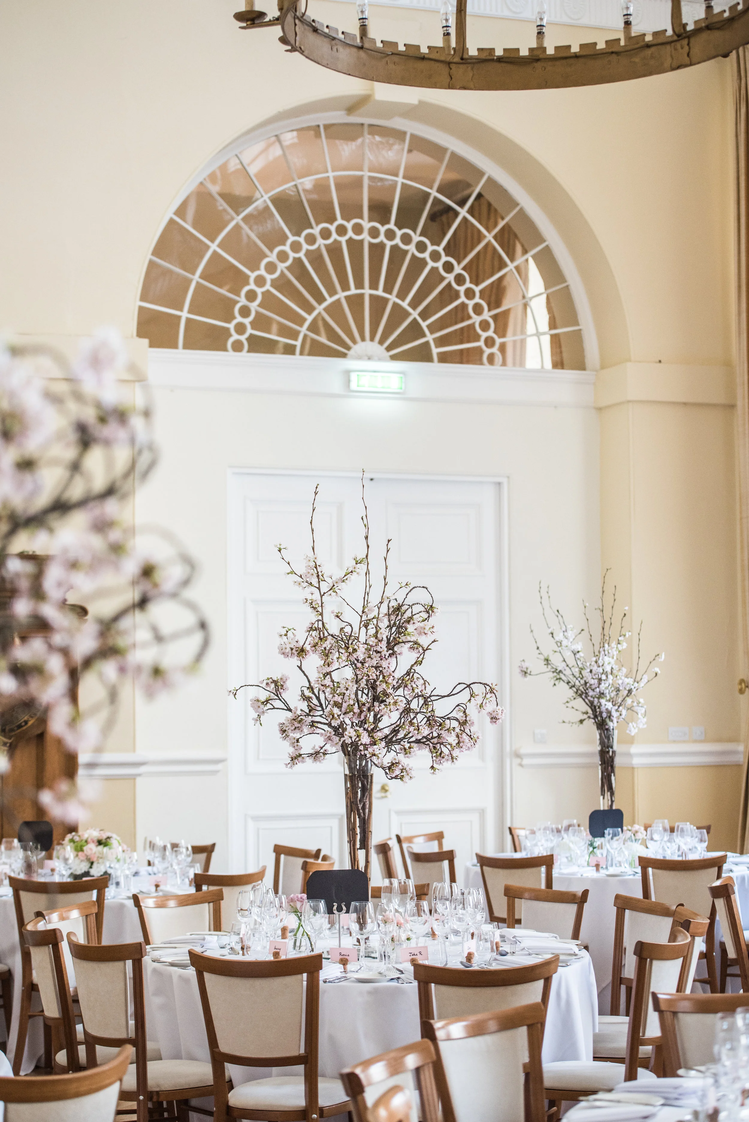 Rachel&Chris_SM (156 of 249).jpg