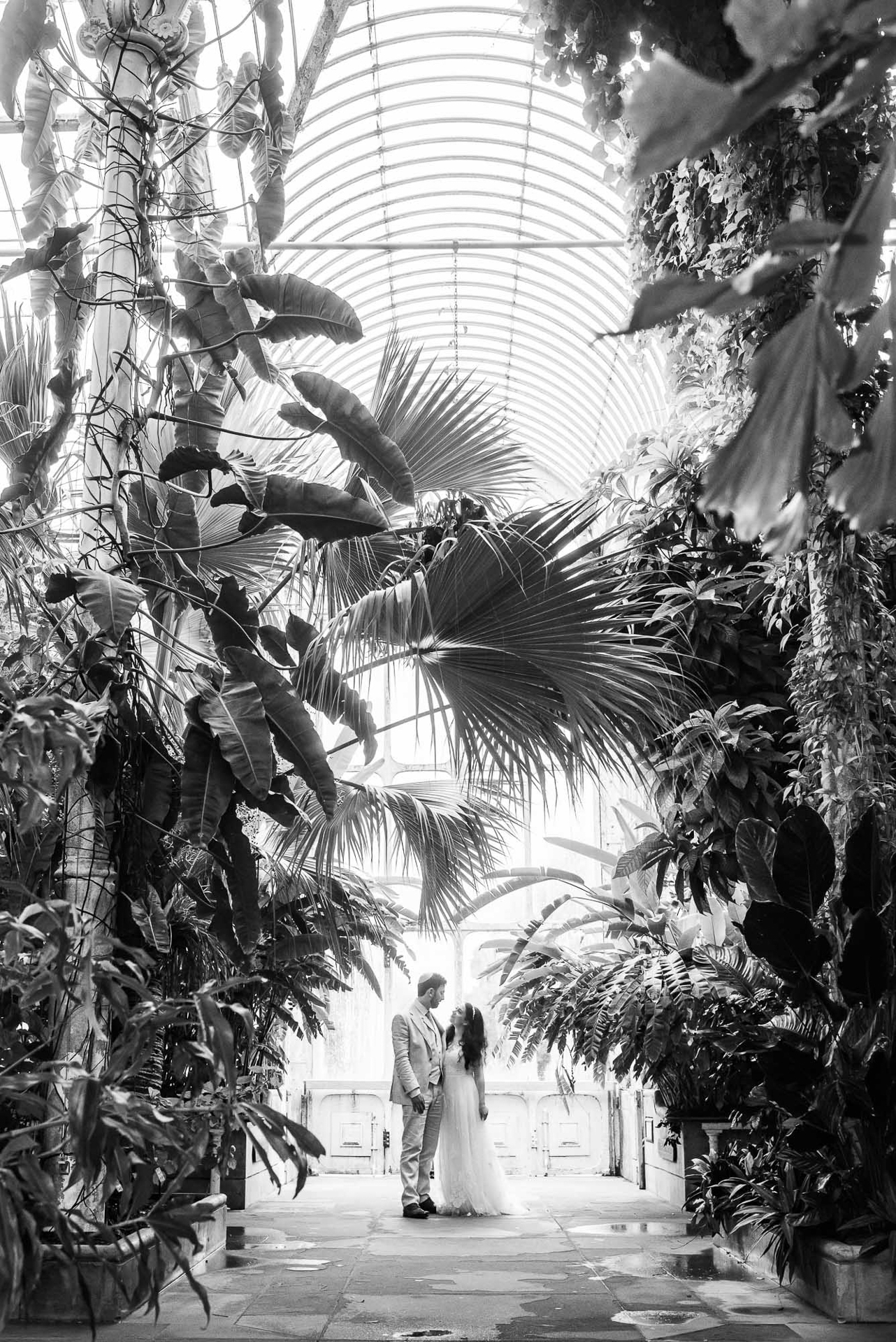 Kew Gardens Wedding, Palm House, Alexandria Hall Photography (52 of 81).jpg