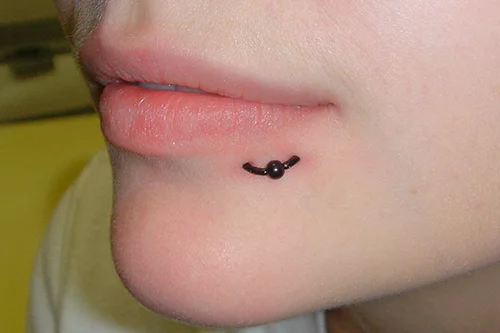 LIPPE_6.jpg