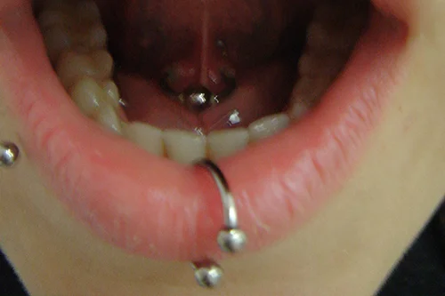 LIPPE_7.jpg