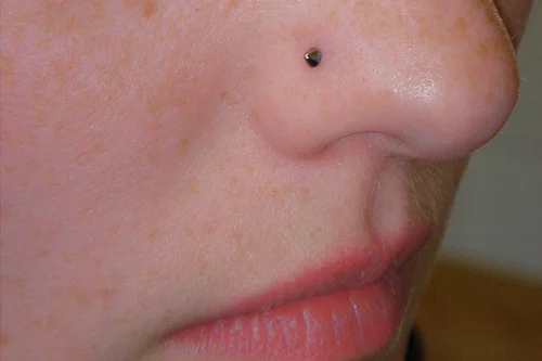 NASE_9.jpg