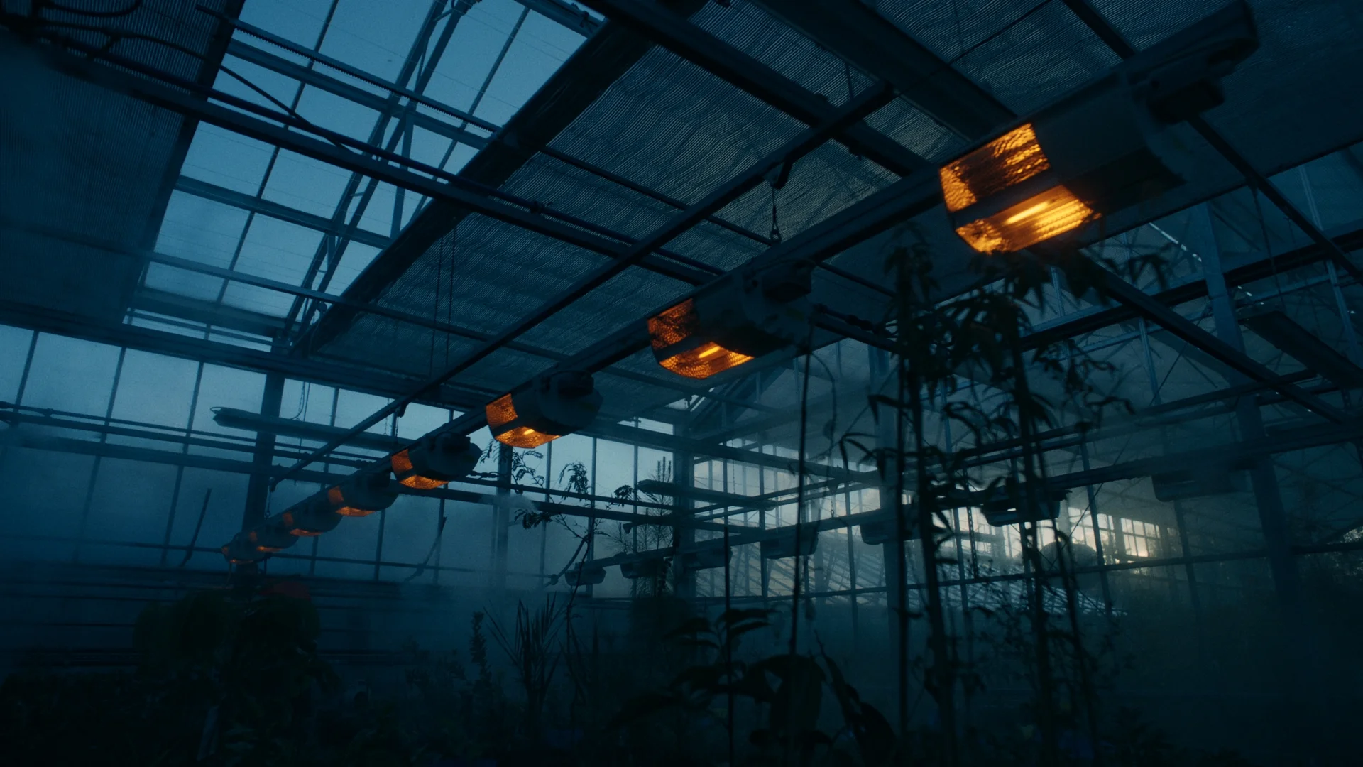 KEW_GRADE_STILLS_1.2.1.jpg