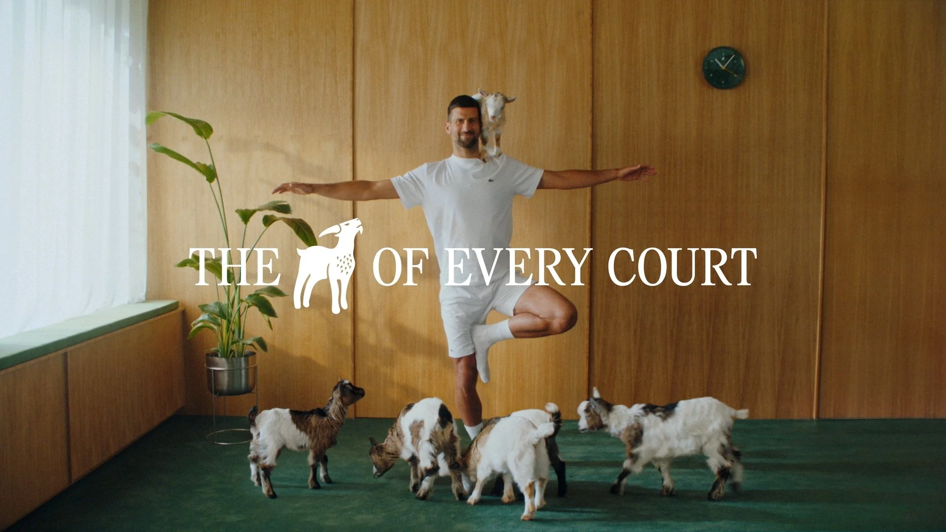 LACOSTE - MAX SIEDENTOPF