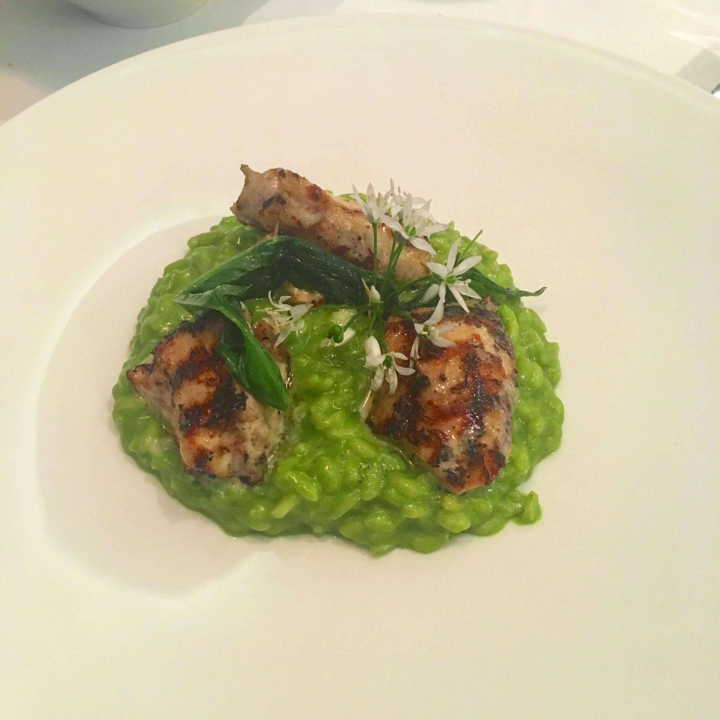 Marcus. Belgravia. 15th May 2017